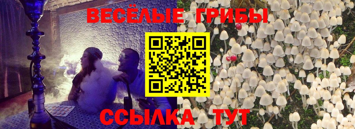 Псилоцибиновые грибы мухоморы Благодарный