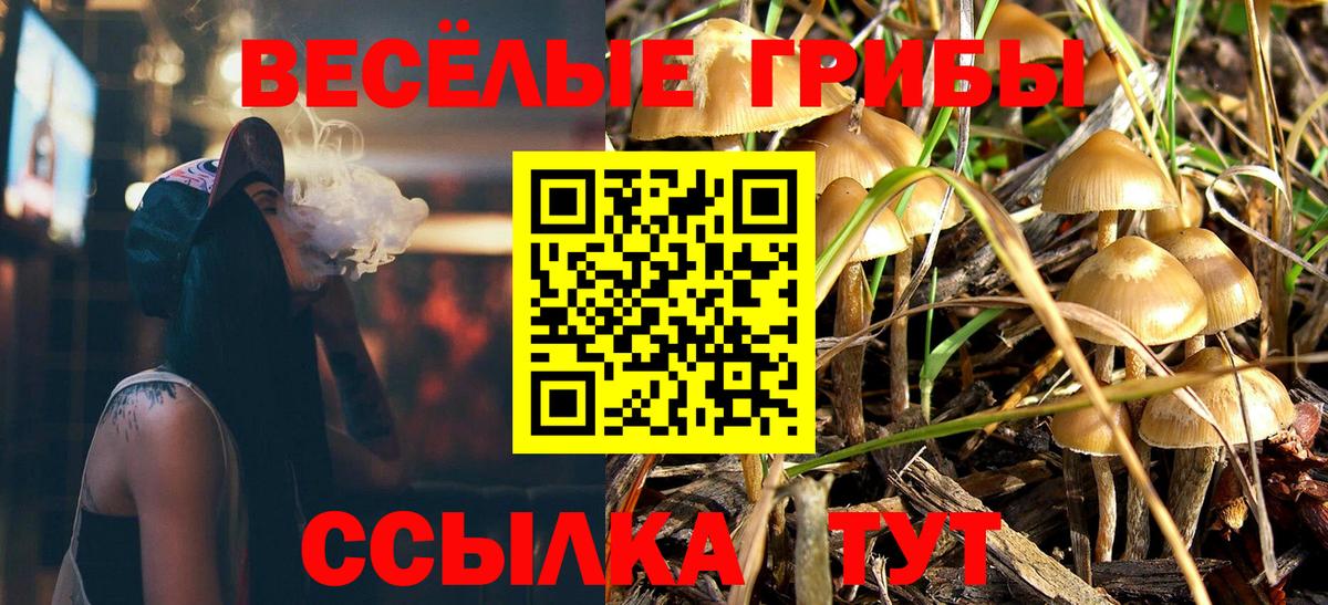 Псилоцибиновые грибы GOLDEN TEACHER  Псилоцибиновые грибы Psilocybine cubensis  Благодарный  Вход с VPN 